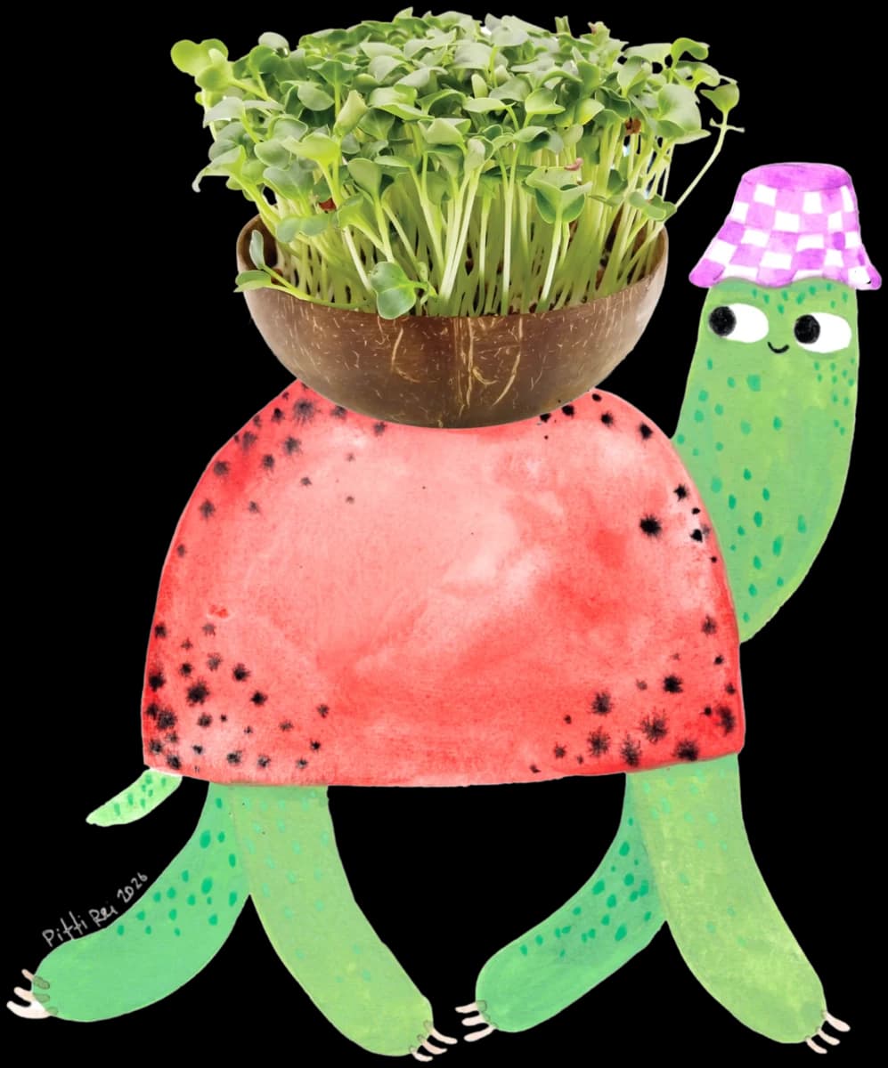 Bubbles, die Grow-Grow Nut Schildkröte, mit Kokosnuss-Schale voller Microgreens